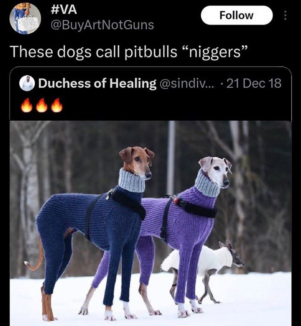 These dogs call pitbulls “niggers” Две собаки в синих и фиолетовых свитерах на снегу, с подписью о питбулях.