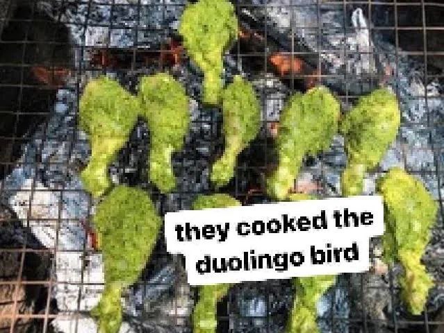 Они приготовили птицу Duolingo Мем с куриными ножками ярко-зеленого цвета, напоминающими птицу Duolingo, которые жарятся на решетке гриль над углями. На изображении есть надпись: «Они приготовили птицу Duolingo»
