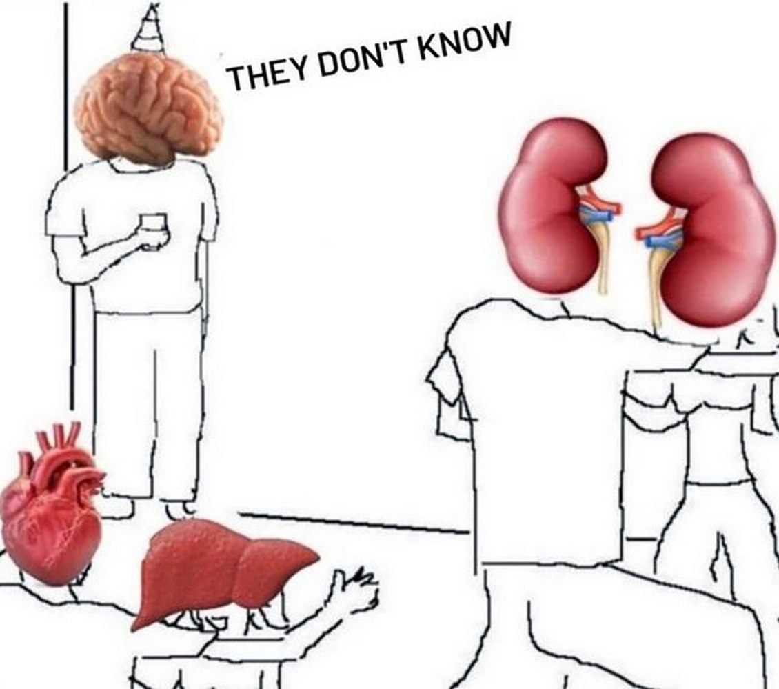 They don't know органы на вечеринке Мем "They don't know" с мозгом, сердцем, печенью и почками на вечеринке