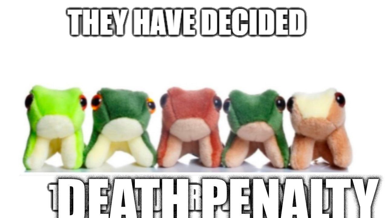 They have decided Death penalty Плюшевые лягушки и надпись "They have decided. Death penalty"