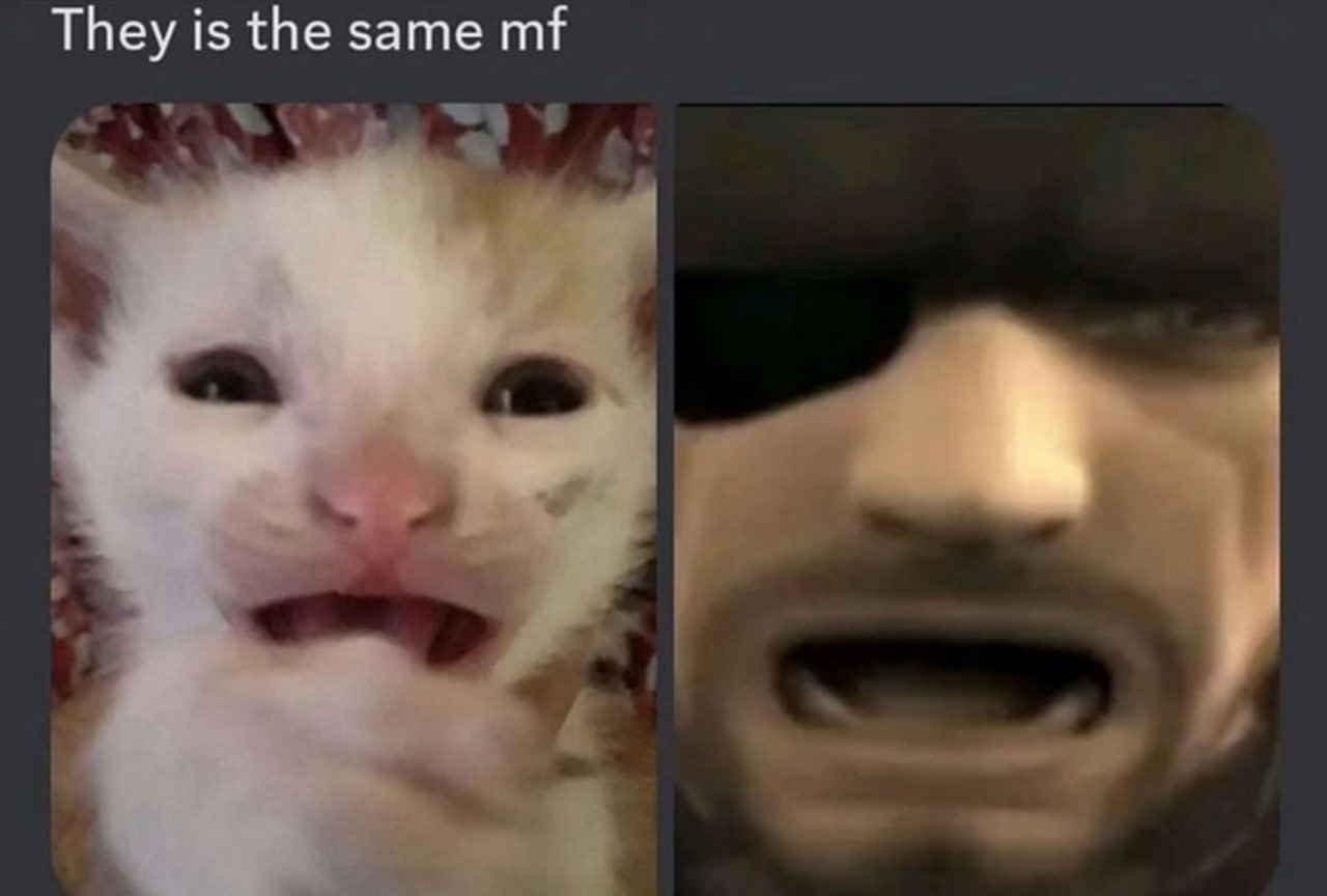 They is the same mf Котёнок и Солiд Снейк с похожими выражениями лица