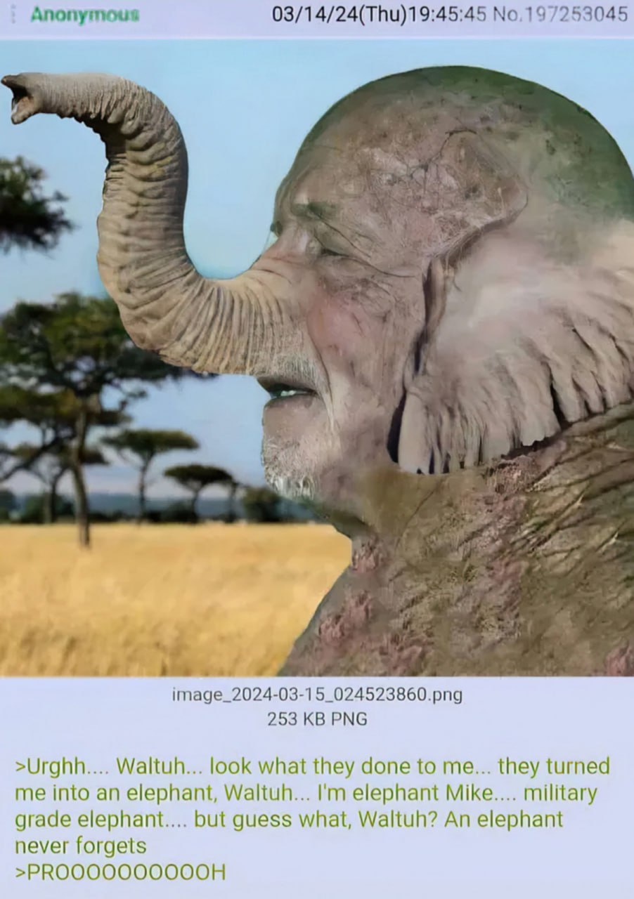 They turned me into an elephant Waltuh Мем с Майком, которого превратили в слона из сериала Во все тяжкие
