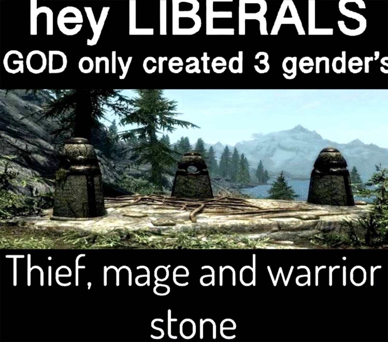 Thief, mage and warrior stone Мем про три пола, которые создал Бог в игре Skyrim, на картинке которого изображены три камня-хранителя: вор, маг и воин.