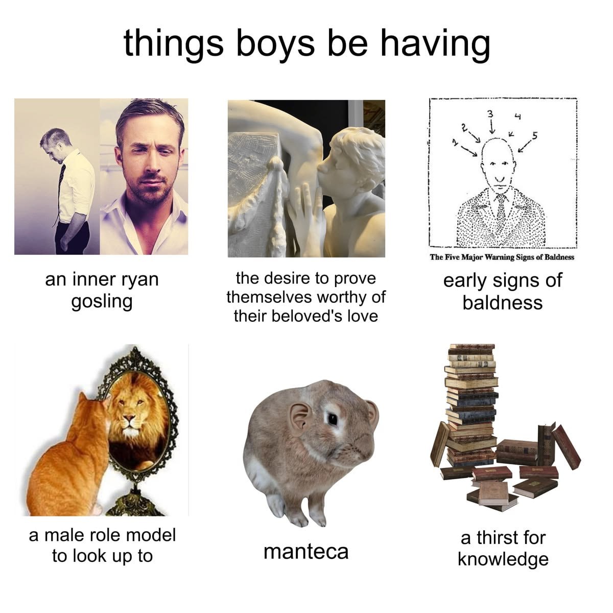 Коллаж с надписью things boys be having и шестью шутливыми пунктами про то, что есть у парней: внутренний Райан Гослинг, ранние признаки облысения, образец для подражания и жажда знаний.