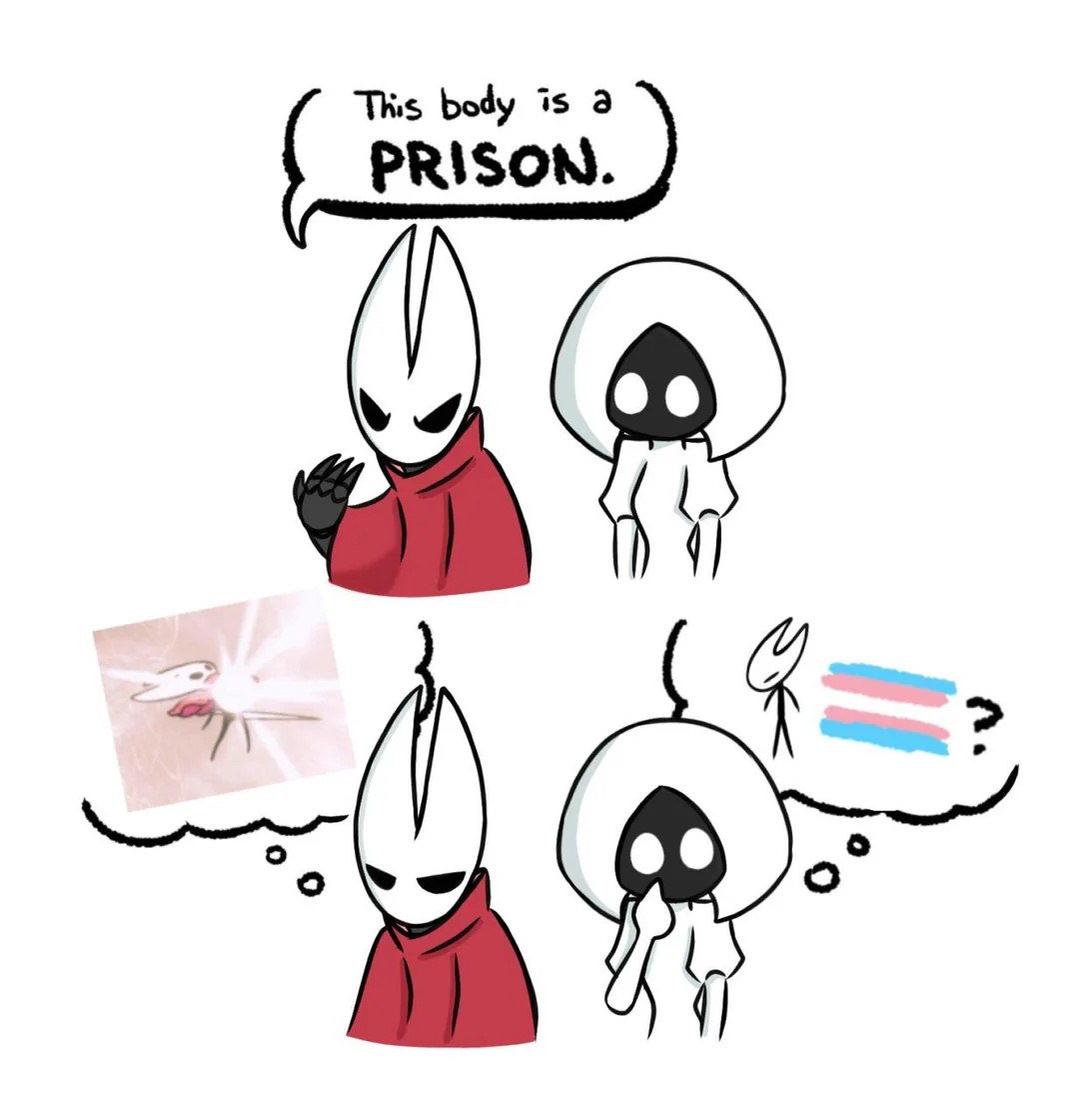 Персонаж из Hollow Knight говорит, что его тело — тюрьма, а второй персонаж думает о странном образе и флаге.