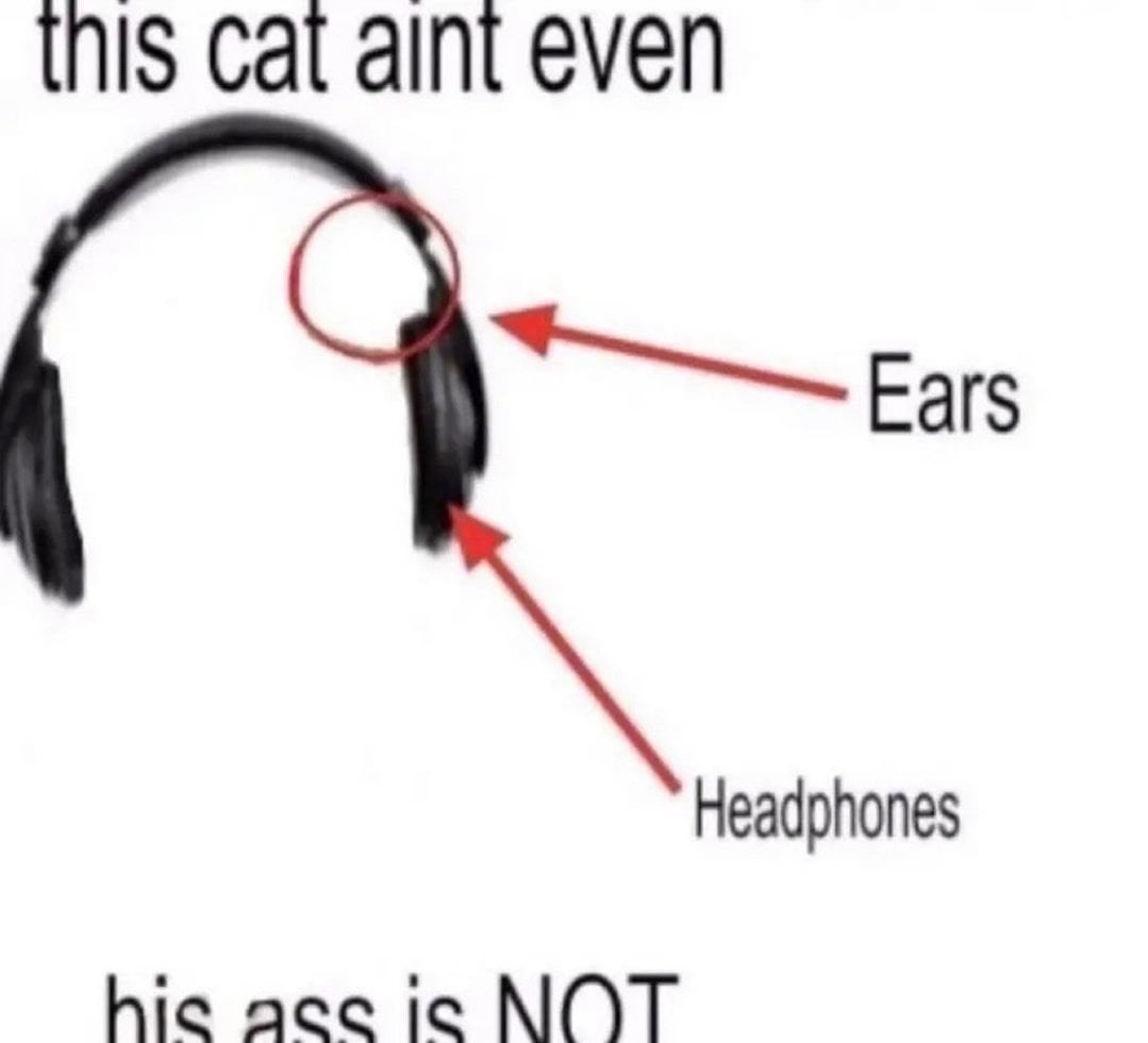 This cat aint even his ass is not Мем с наушниками и подписями "ears" и "headphones".