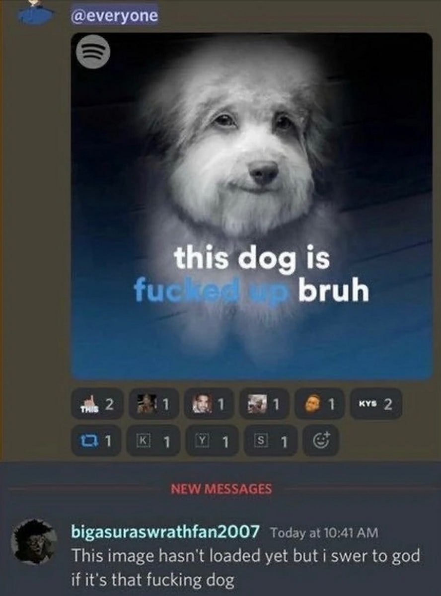 This dog is fucked up bruh Мем с собакой, которая выглядит необычно, и текстом "This dog is fucked up bruh" на фоне интерфейса Discord, где пользователь ждет загрузки изображения и пишет "if it's that fucking dog".