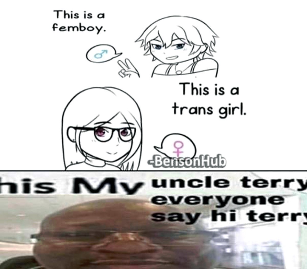 This is a femboy, this is a trans girl, my uncle Terry Мем, где сначала показывают аниме-персонажей, поясняя, кто из них фембой, а кто трансгендерная девушка, а затем внезапно появляется мужчина по имени Терри