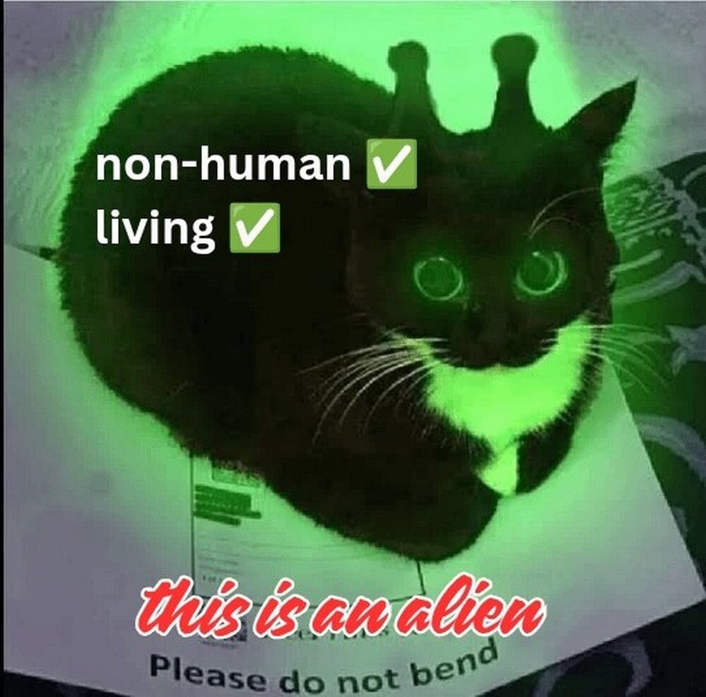 Чёрно-белый кот, подсвеченный зелёным светом, с подписью «this is an alien» и надписью «non-human living».