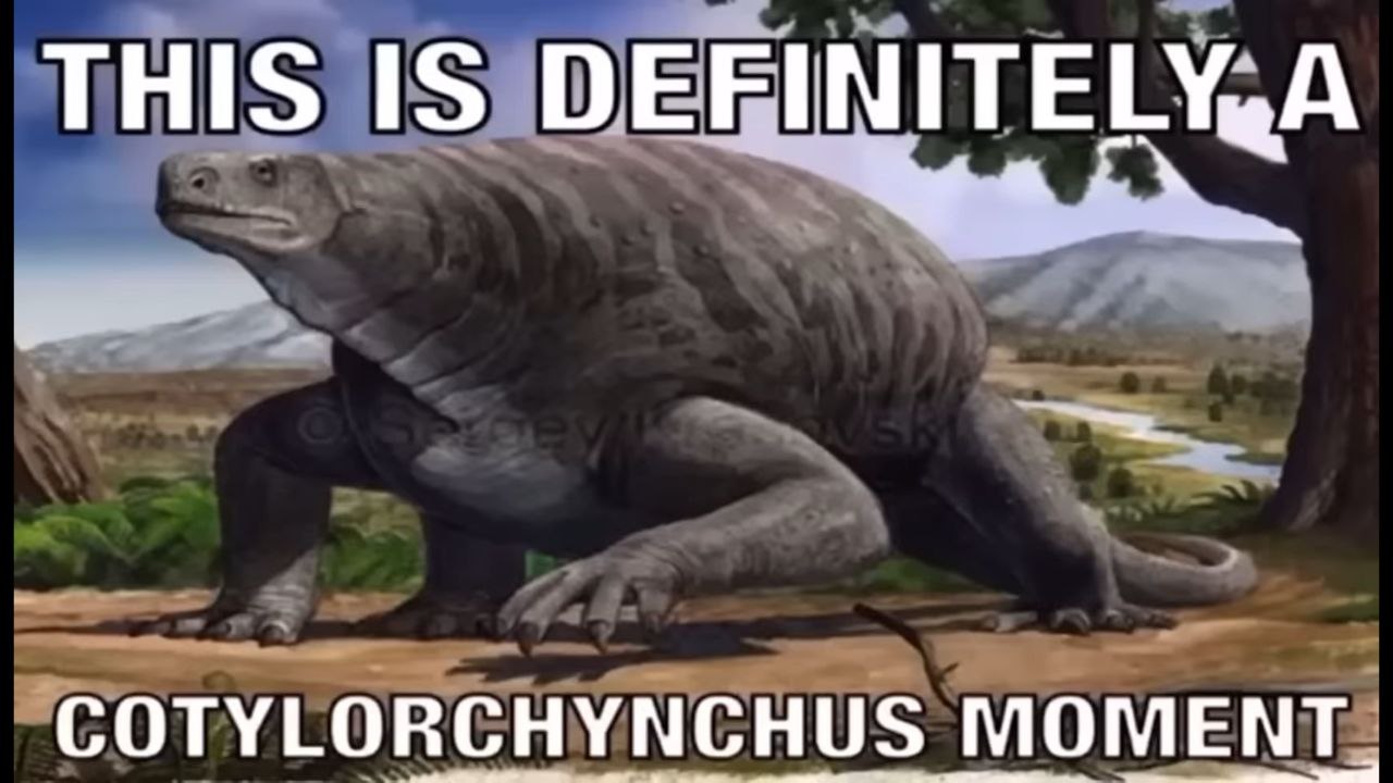 This is definitely a Cotylorhynchus moment Мем с котолоринхом, доисторическим животным, который выглядит странно и необычно, и надписью «This is definitely a Cotylorhynchus moment»