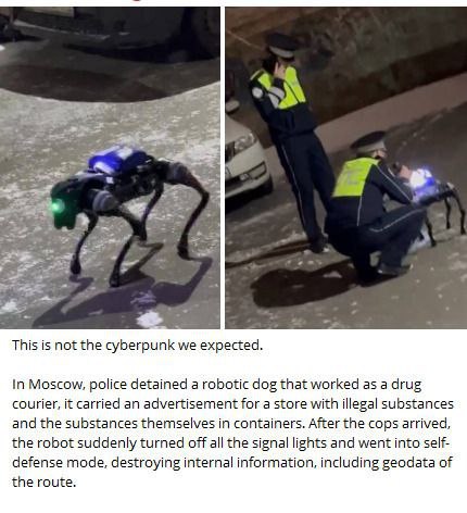 This is not the cyberpunk we expected Полицейские задерживают робота-собаку, которая работала наркокурьером