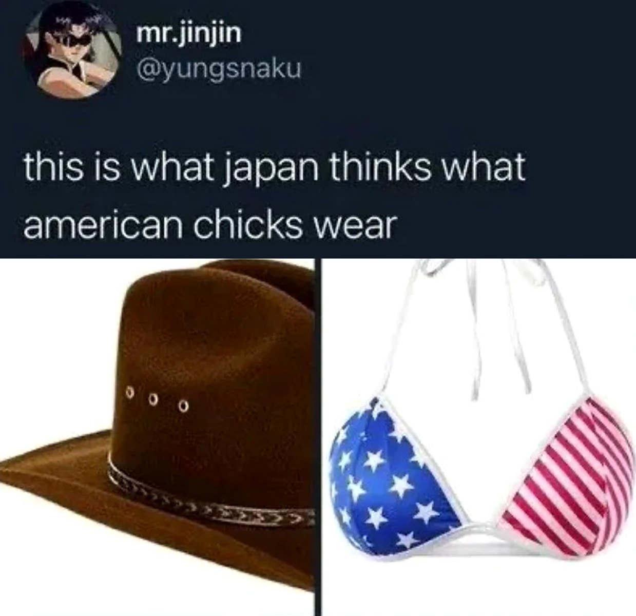 This is what Japan thinks what american chicks wear Мем про то, что Япония думает, что носят американские девушки: ковбойская шляпа и бикини в цветах американского флага