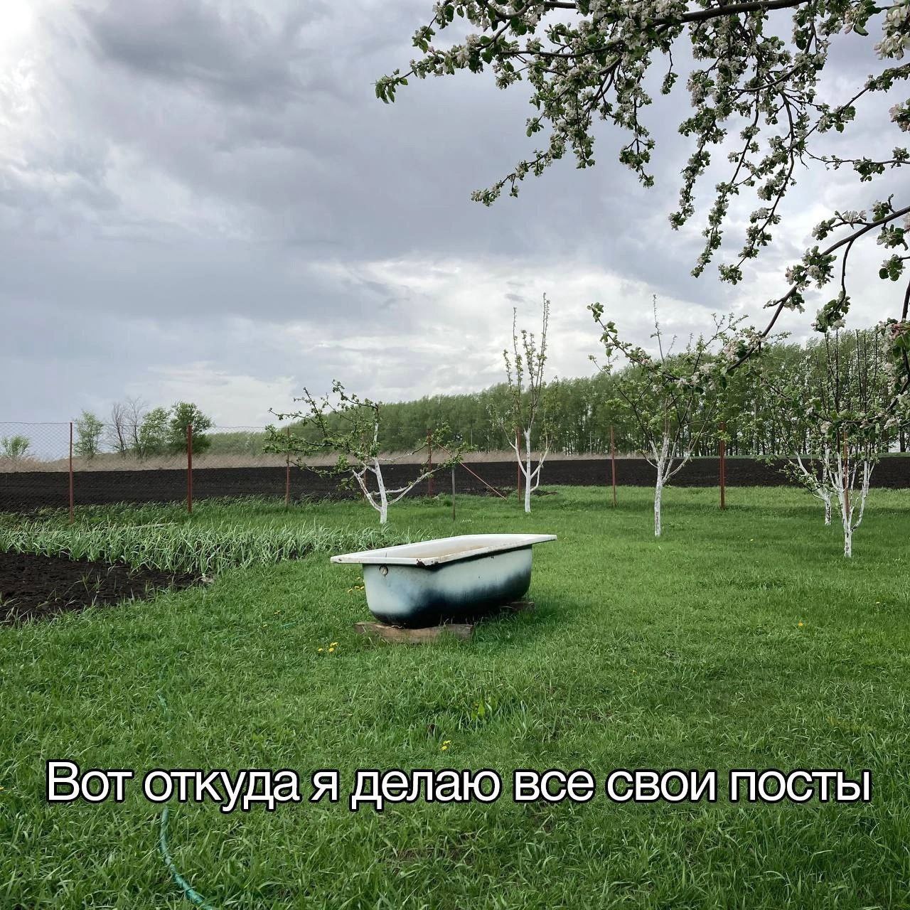 Вот откуда я делаю все свои посты Ванна, стоящая посреди зеленого газона, на фоне серого неба и цветущих деревьев, с надписью "Вот откуда я делаю все свои посты".