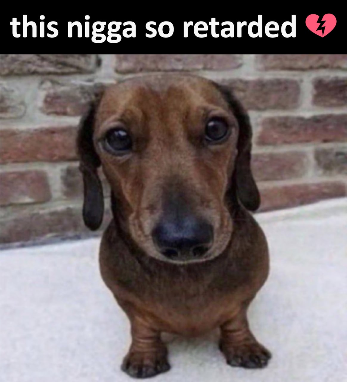 This nigga so retarded Такса с надписью this nigga so retarded
