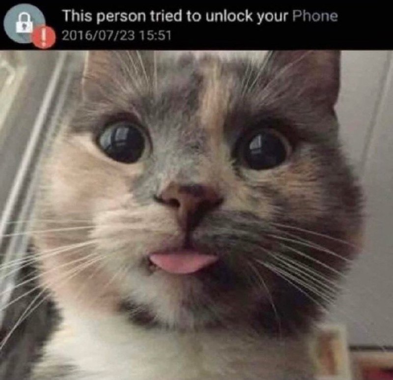 This person tried to unlock your Phone кот Фото кота, который попытался разблокировать ваш телефон, с высунутым языком и датой 23 июля 2016 года