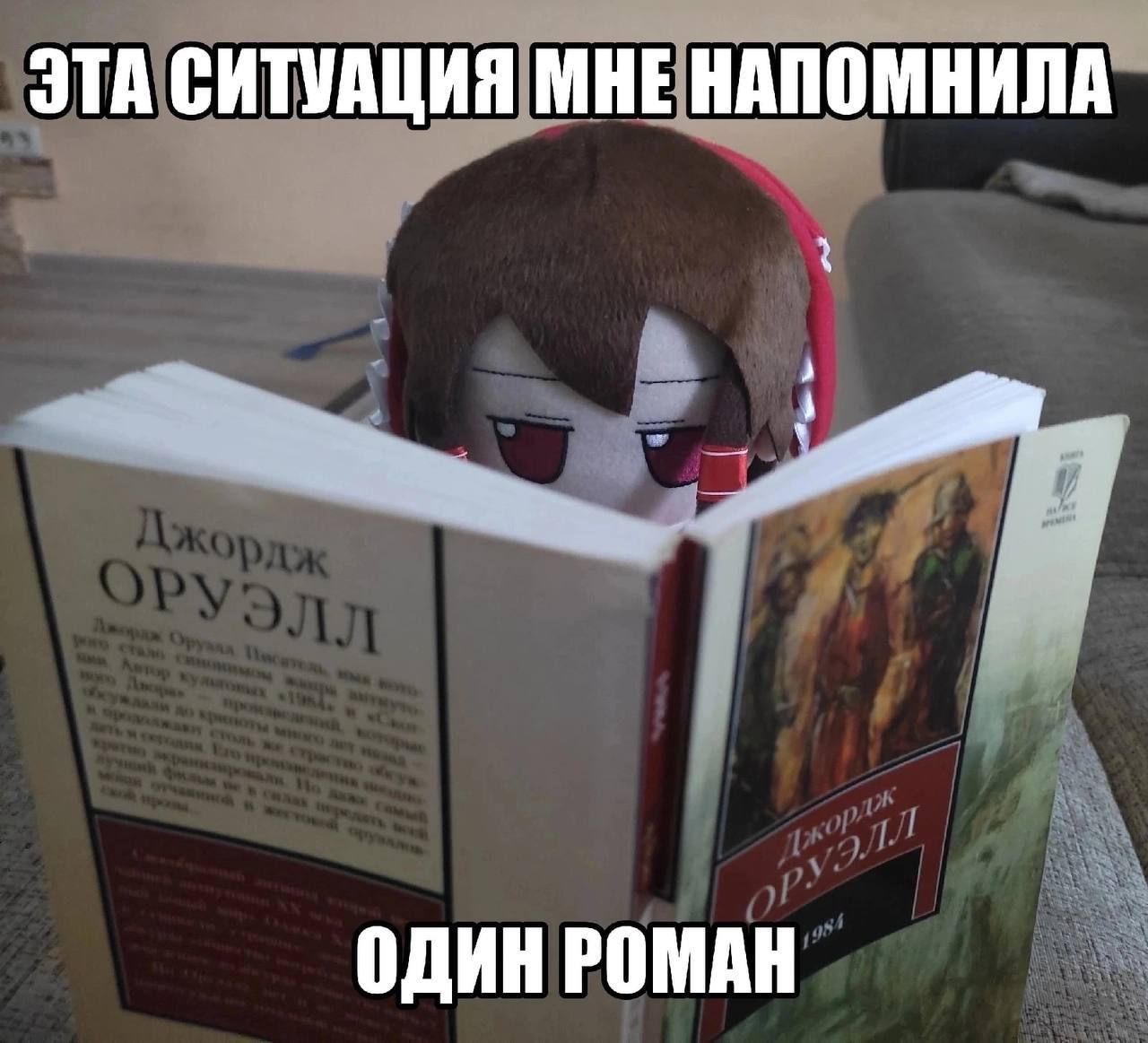 Эта ситуация мне напомнила один роман Мягкая игрушка фумо с книгой Джорджа Оруэлла "1984"