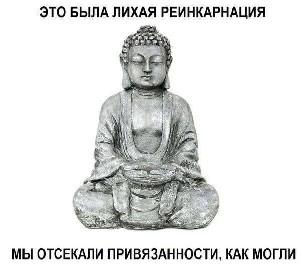 Это была лихая реинкарнация, мы отсекали привязанности Мем с Буддой, который говорит: "Это была лихая реинкарнация. Мы отсекали привязанности, как могли"