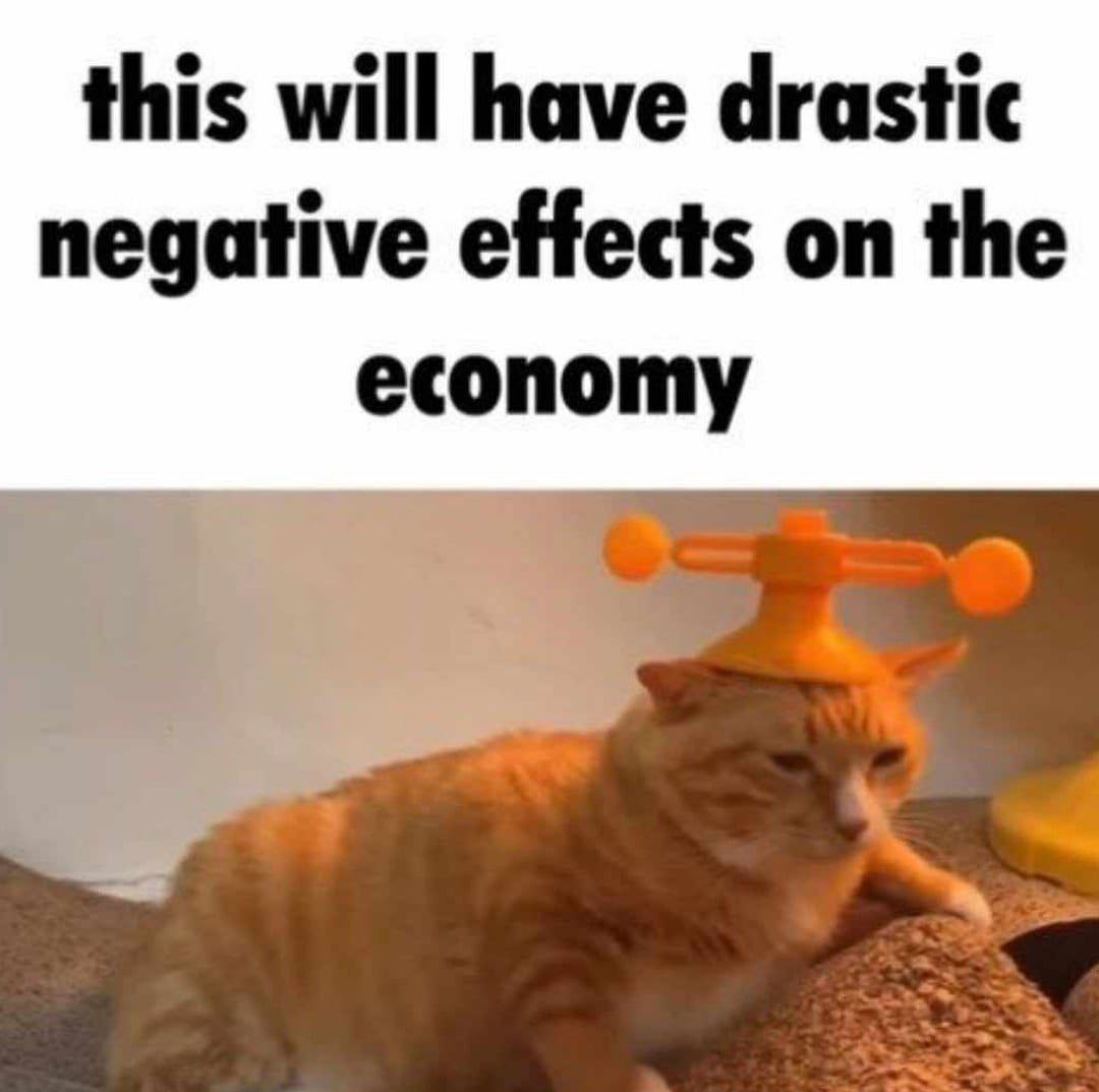 This will have drastic negative effects on the economy Кот в смешной шляпе с пропеллером, которая негативно повлияет на экономику