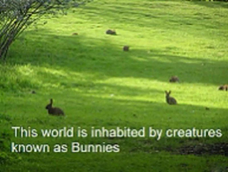 Зелёная лужайка с разбросанными по ней кроликами и подписью «This world is inhabited by creatures known as Bunnies»