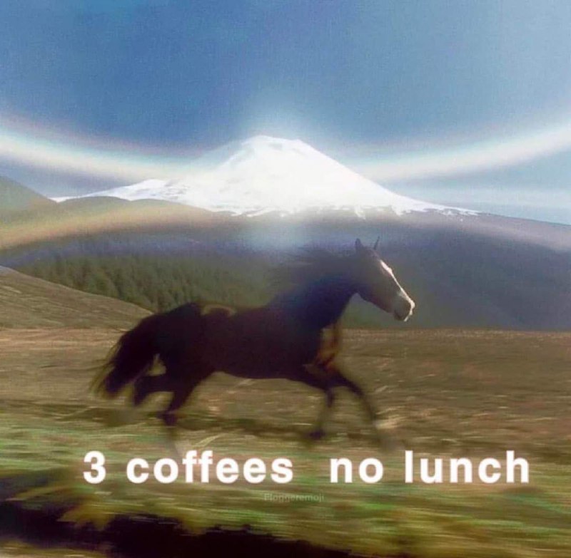3 coffees no lunch конь Конь на фоне горы с текстом "3 coffees no lunch"