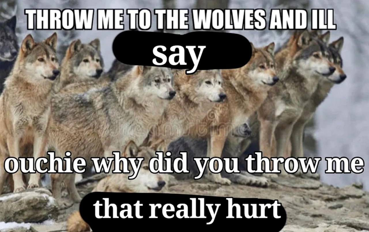 Throw me to the wolves Брось меня волкам, и я скажу «Ой, зачем ты меня бросил, это действительно больно»