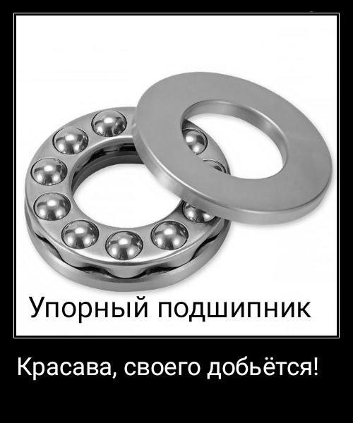 Упорный подшипник Красава, своего добьётся Упорный подшипник и красава, который добьется своего
