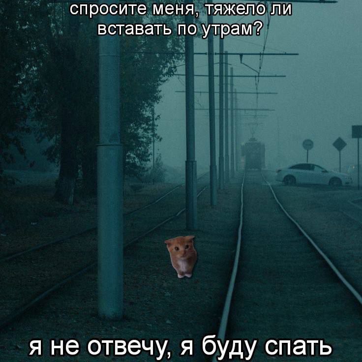 Тяжело ли вставать по утрам Спросите меня, тяжело ли вставать по утрам? Я не отвечу, я буду спать