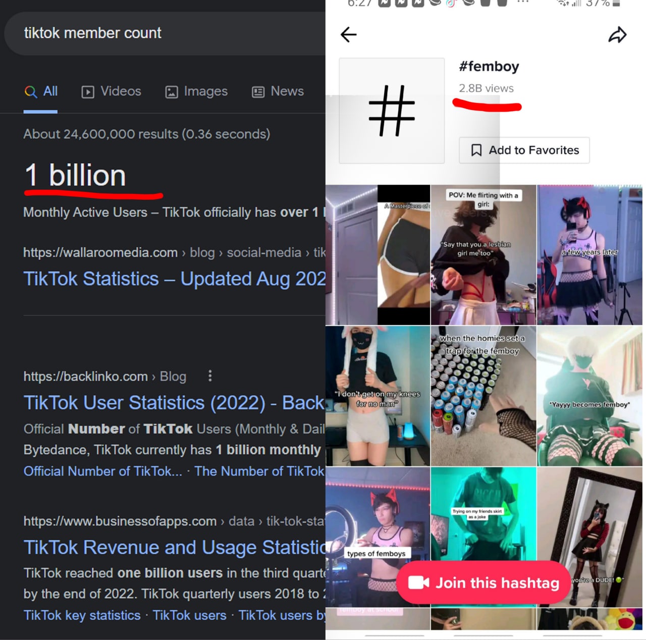 Сравнение поисковых запросов TikTok и Femboy Мем сравнивает количество запросов "tiktok member count" (1 миллиард) с количеством просмотров хэштега "#femboy" (2,8 миллиарда) в TikTok.