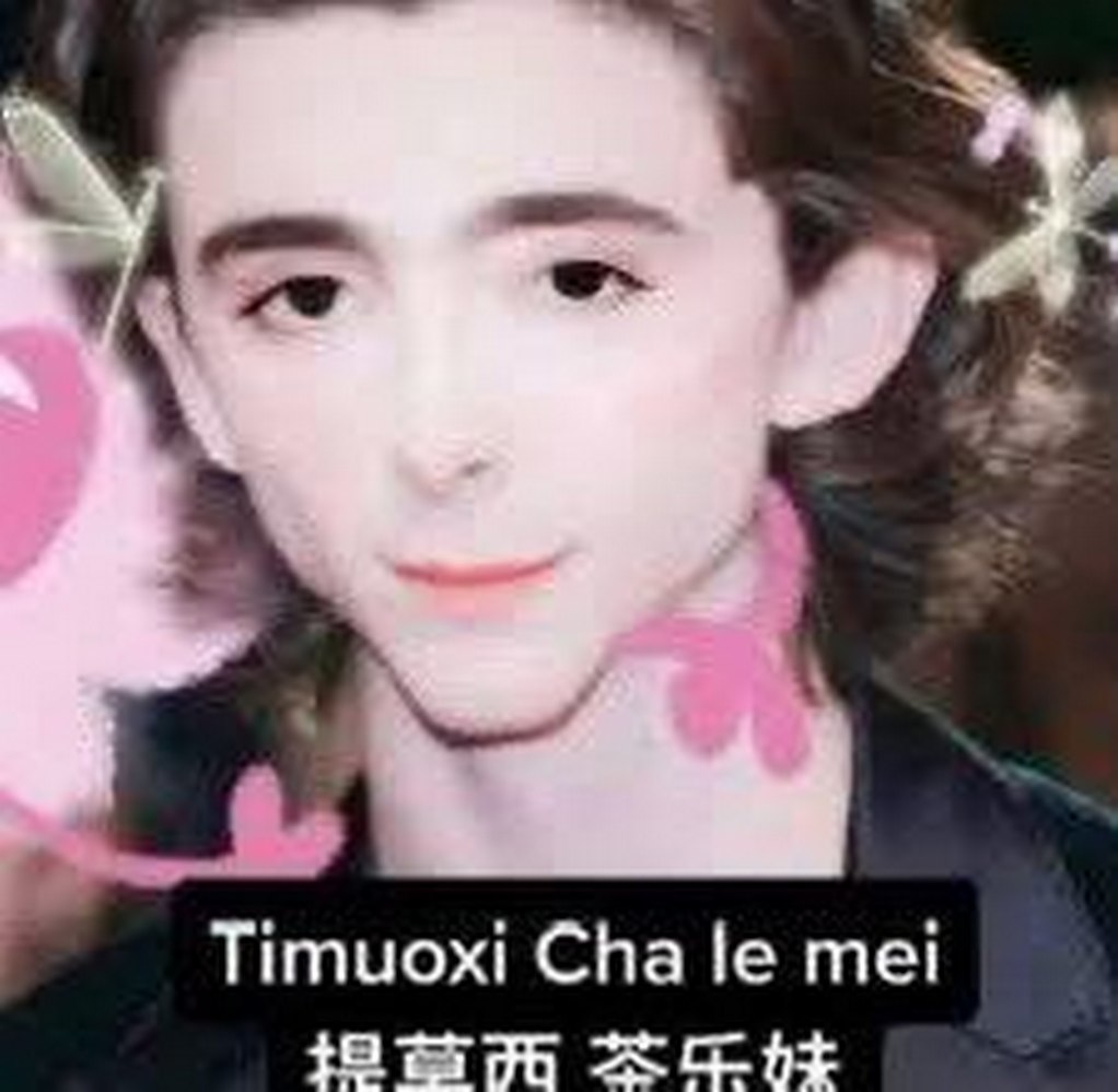 Тимоти Шаламе Timuoxi Cha le mei Тимоти Шаламе с кукольным лицом и розовыми элементами, «Timuoxi Cha le mei»