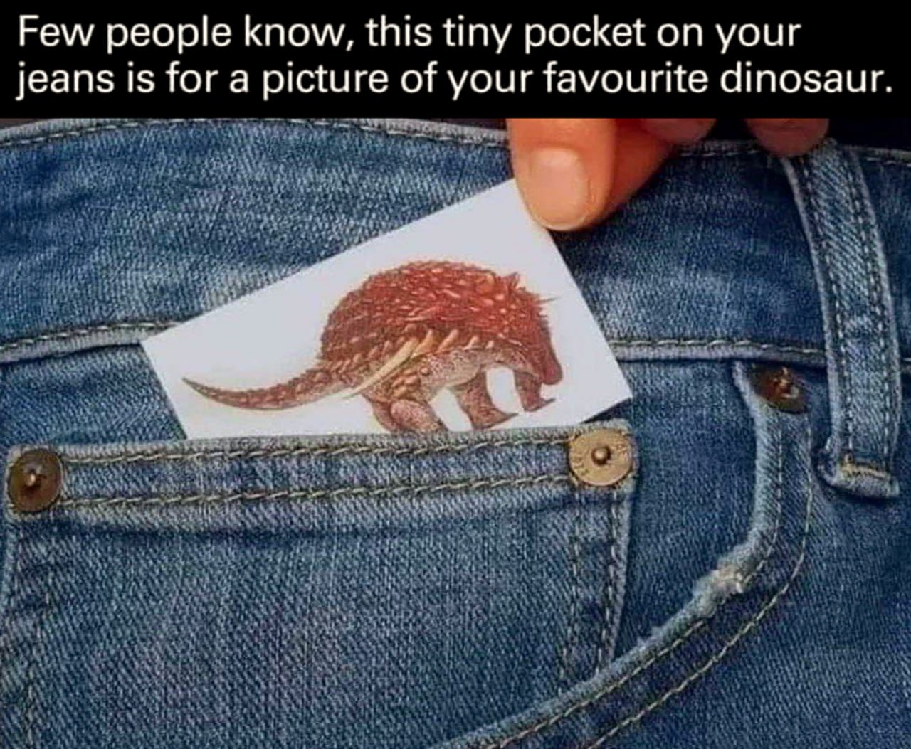 Few people know, this tiny pocket on your jeans is for a picture of your favourite dinosaur Крошечный кармашек на джинсах для динозавра