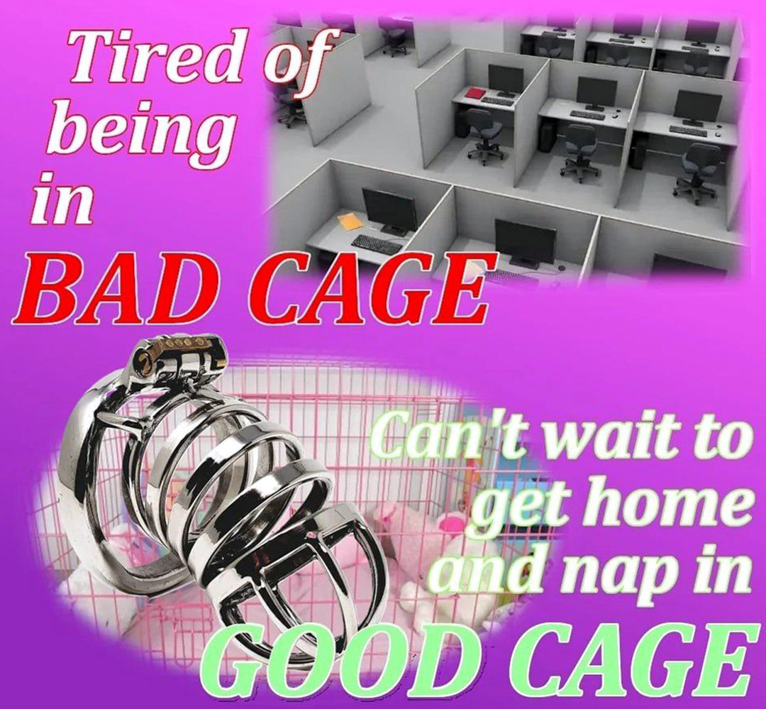 Tired of being in BAD CAGE Устал быть в плохой клетке, не могу дождаться, чтобы приехать домой и вздремнуть в хорошей клетке