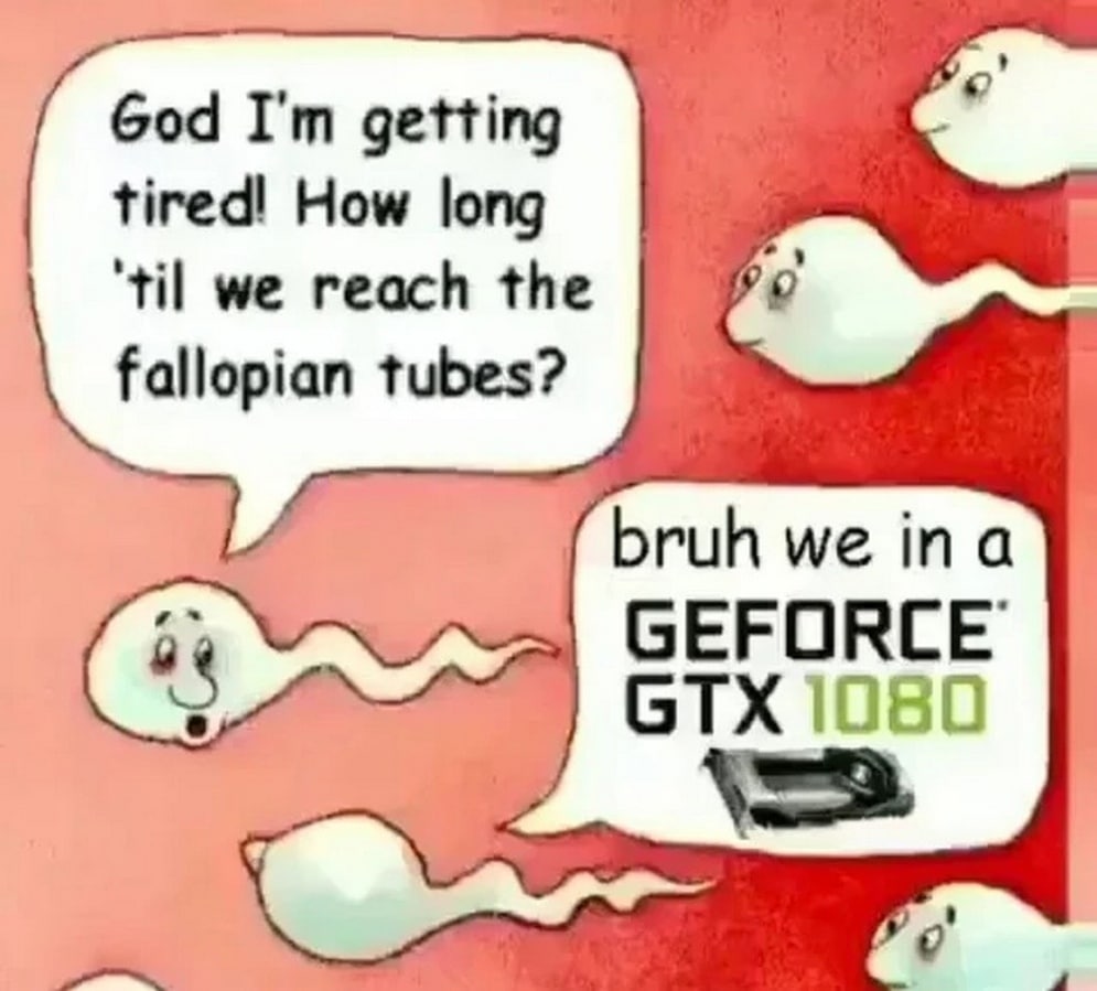 Уставший сперматозоид и GeForce GTX 1080 Мем про уставший сперматозоид и GeForce GTX 1080.