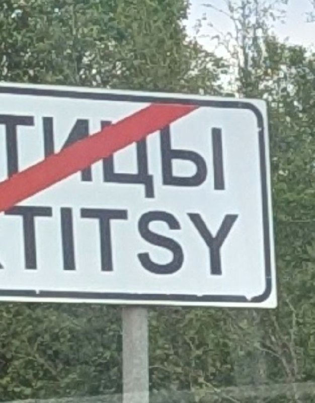 TITSY дорожный знак Дорожный знак с надписью "ТИЦЫ" и "TITSY"