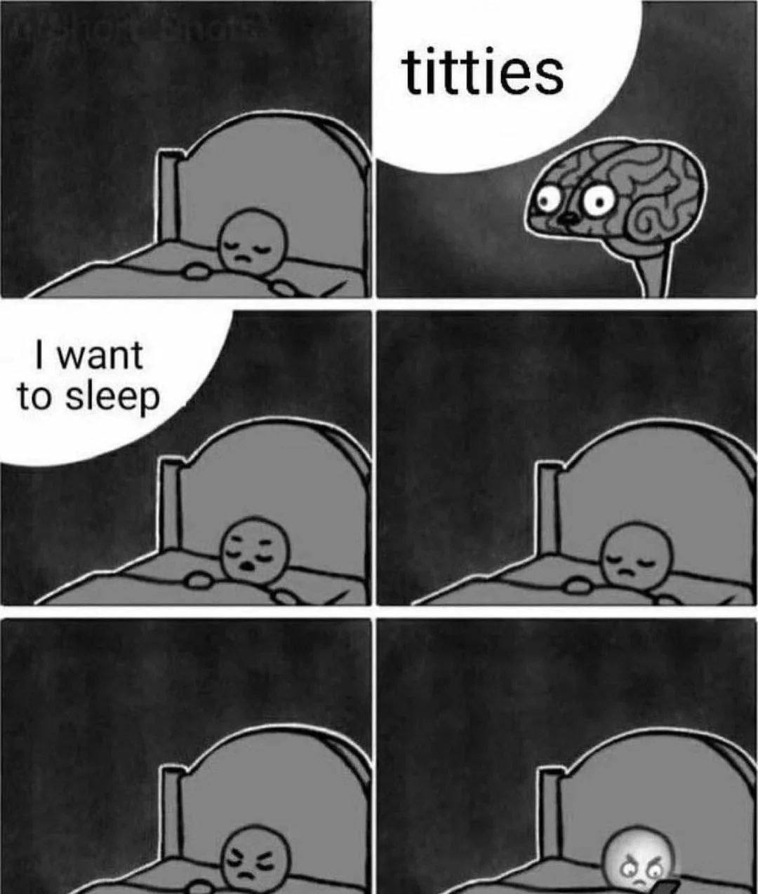 Titties I want to sleep Мем про то, как мозг не дает уснуть, думая о «titties»