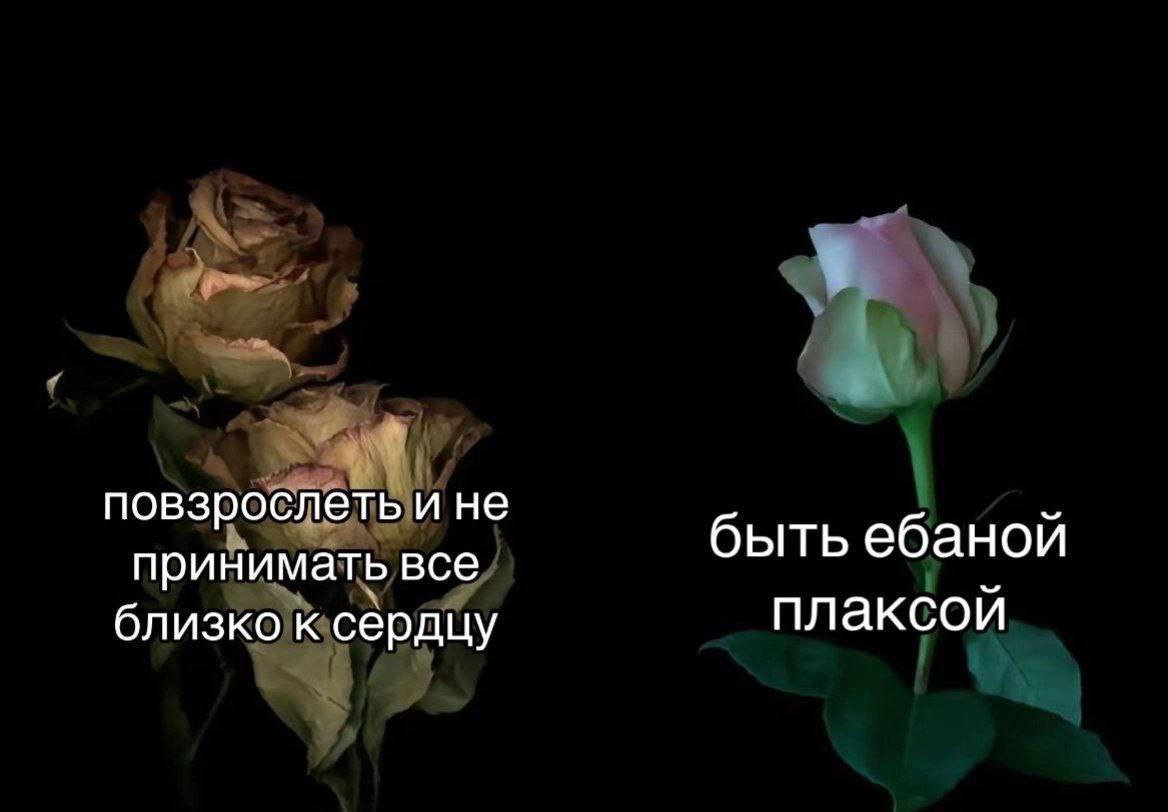 Повзрослеть и не принимать все близко к сердцу vs быть ебаной плаксой Повзрослеть и не принимать все близко к сердцу vs быть ебаной плаксой