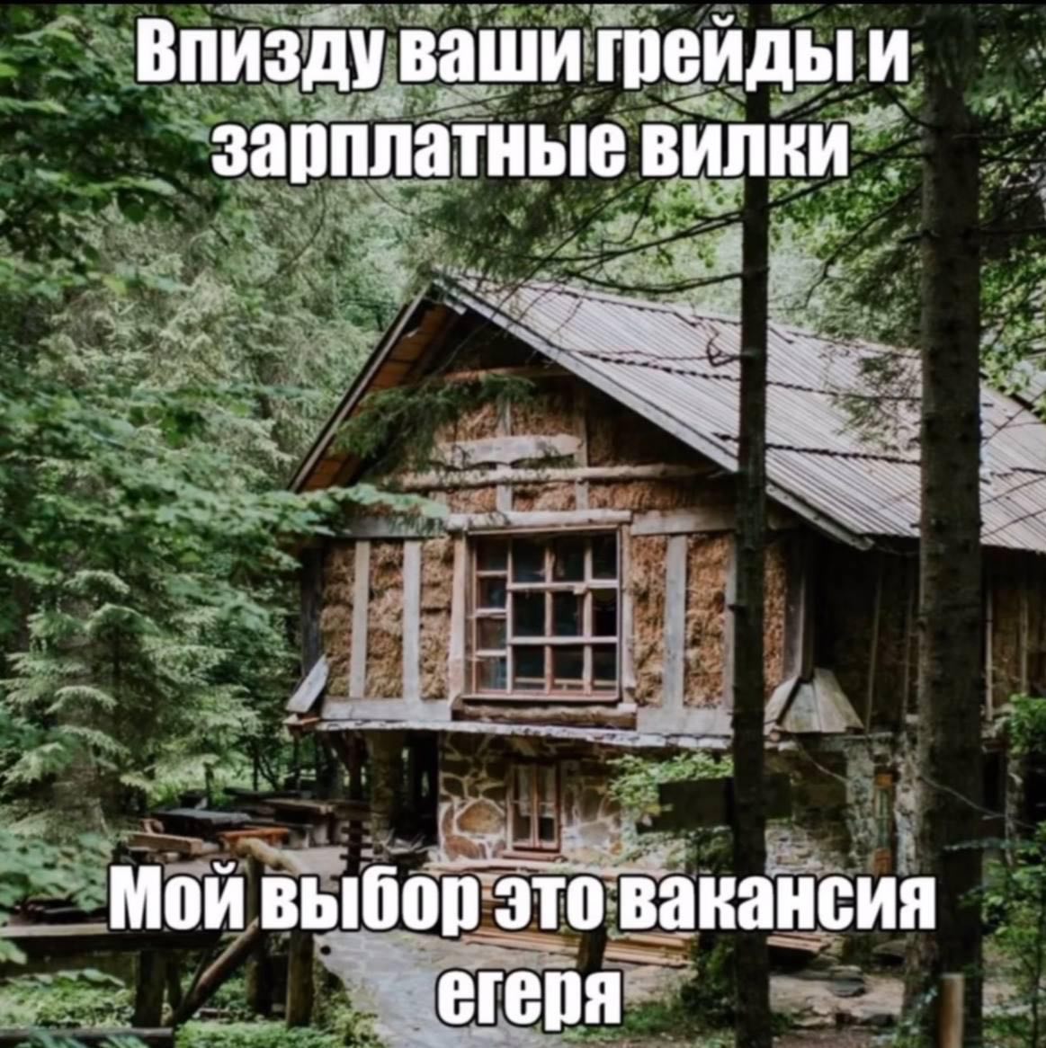 Впизду ваши грейды и зарплатные вилки Мой выбор это вакансия егеря