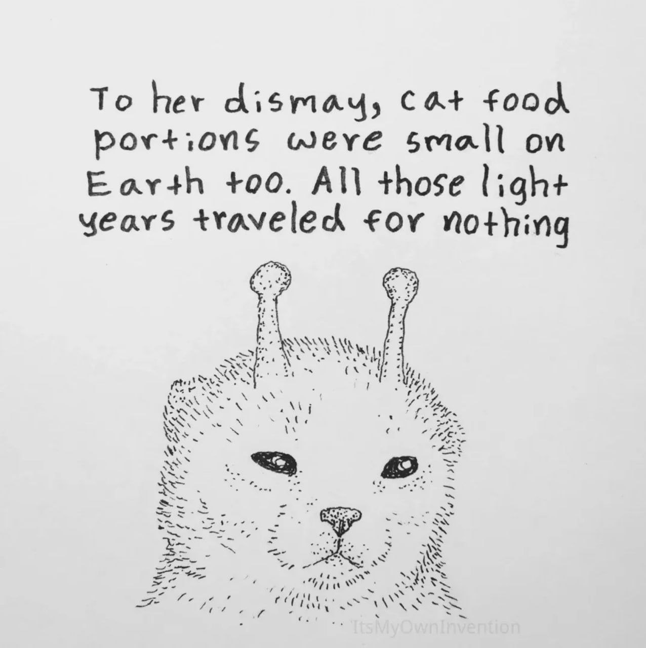 Инопланетный кот-пришелец разочарован маленькими порциями еды на Земле