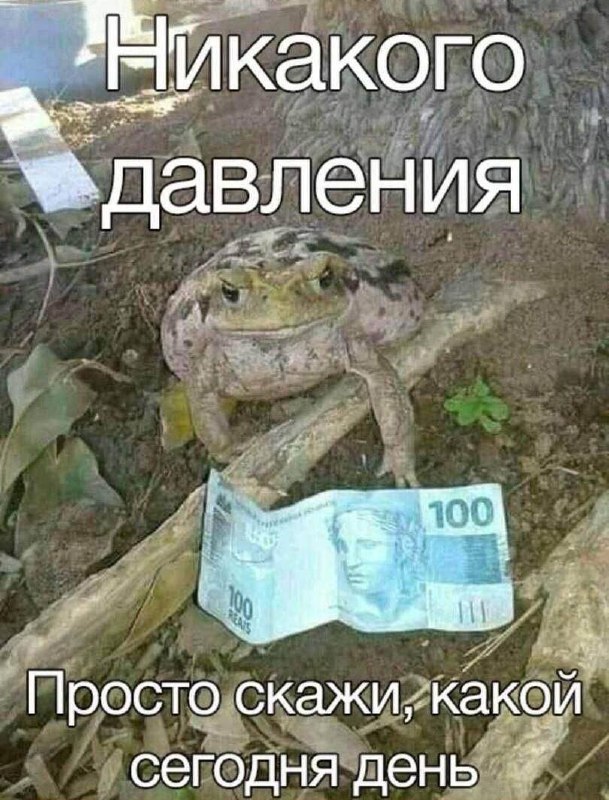Жаба и деньги Жаба сидит на земле, перед ней лежит денежная купюра в 100 реалов, а сверху и снизу мемные надписи.