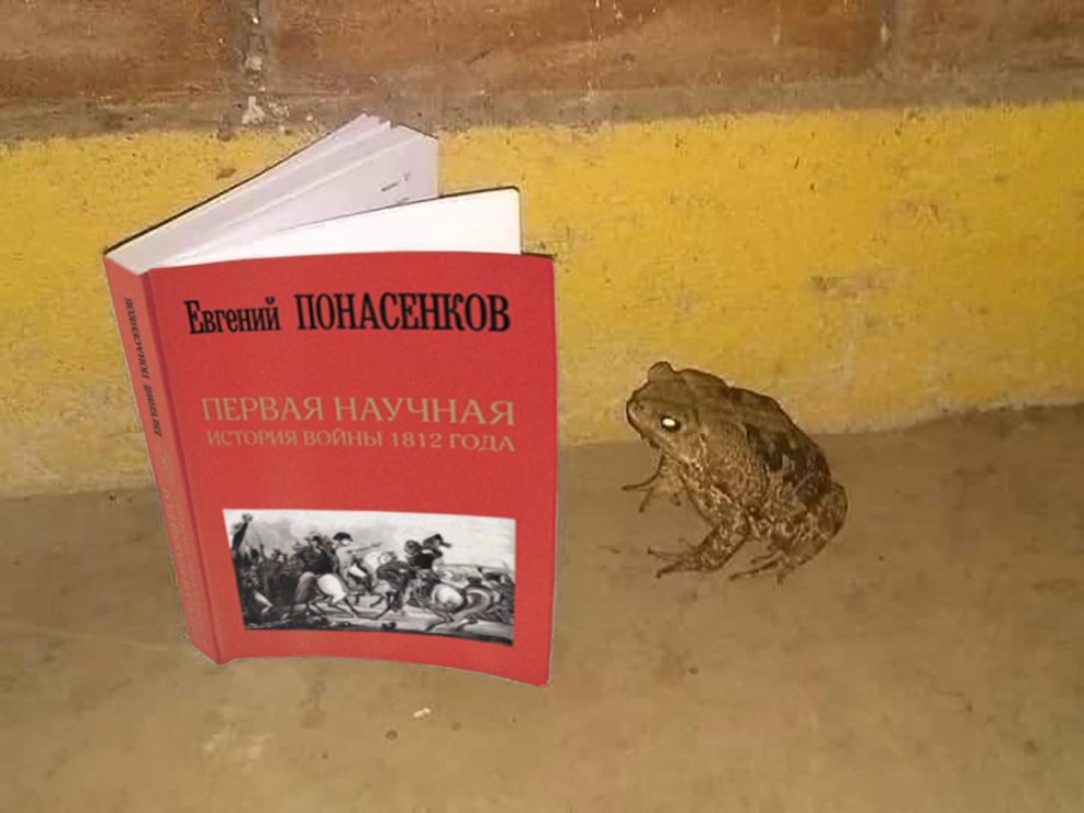 Жаба и Понасенков Жаба читает книгу Понасенкова «Первая научная история войны 1812 года»
