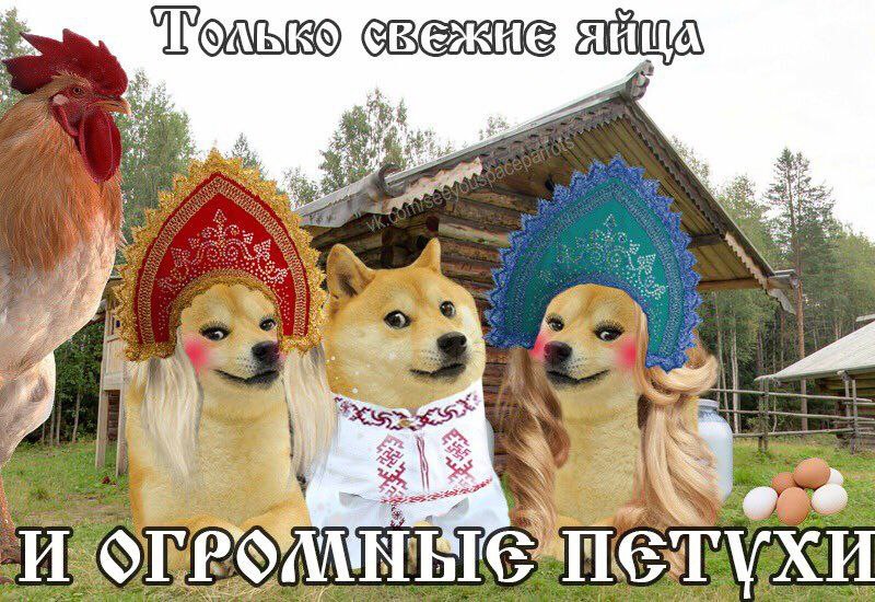 Только свежие яйца и огромные петухи Только свежие яйца и огромные петухи
