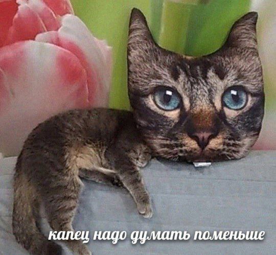 Капец надо думать поменьше Кот с подушкой-головой и надписью «Капец надо думать поменьше»