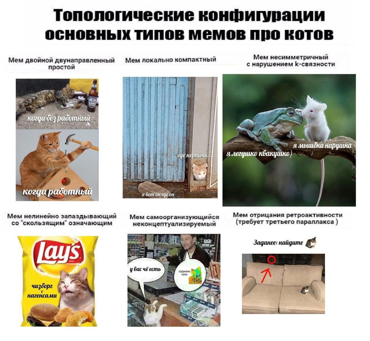Топологические конфигурации основных типов мемов про котов Топологические конфигурации основных типов мемов про котов