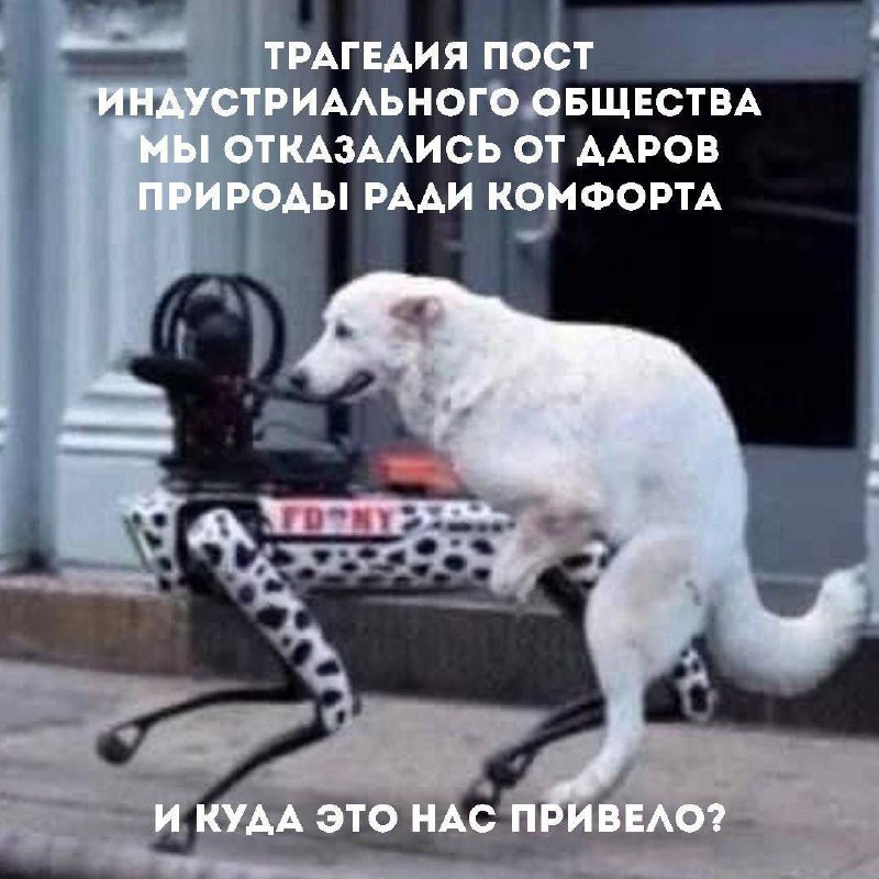 Трагедия постиндустриального общества Белая собака запрыгнула на робота-собаку, трагедия постиндустриального общества
