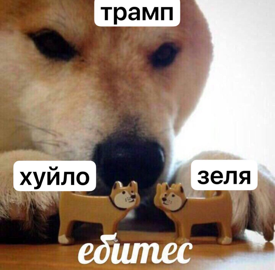 Трамп Хуйло Зеля ебитесь Мем с собакой, на которой написано «Трамп», с двумя маленькими фигурками собак с надписями «Хуйло» и «Зеля» и подписью «Ебитесь».
