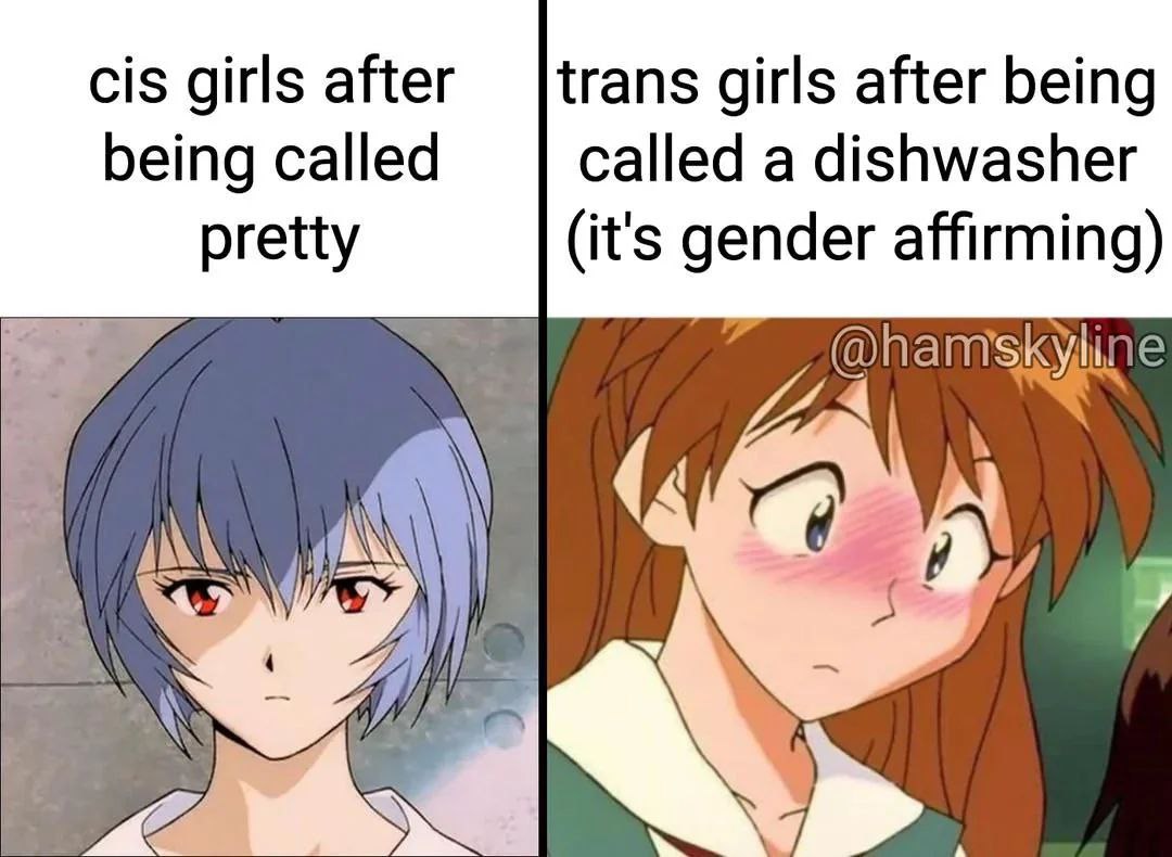 Мем про транс-девушек и гендерное подтверждение через оскорбления