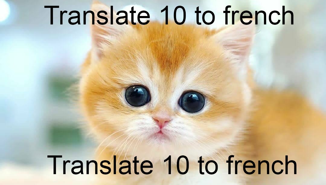 Translate 10 to french Милый рыжий котенок с большими глазами и надписью "Translate 10 to french" сверху и снизу.