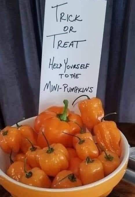 Миска с мини-тыквами и запиской «Trick or Treat. Help Yourself to the Mini-Pumpkins» — необычное хэллоуинское угощение.