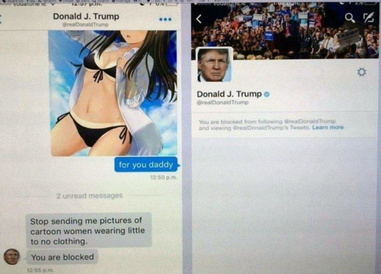 Donald Trump for you daddy Переписка с Дональдом Трампом, где ему отправляют аниме-девочку, а потом он блокирует аккаунт