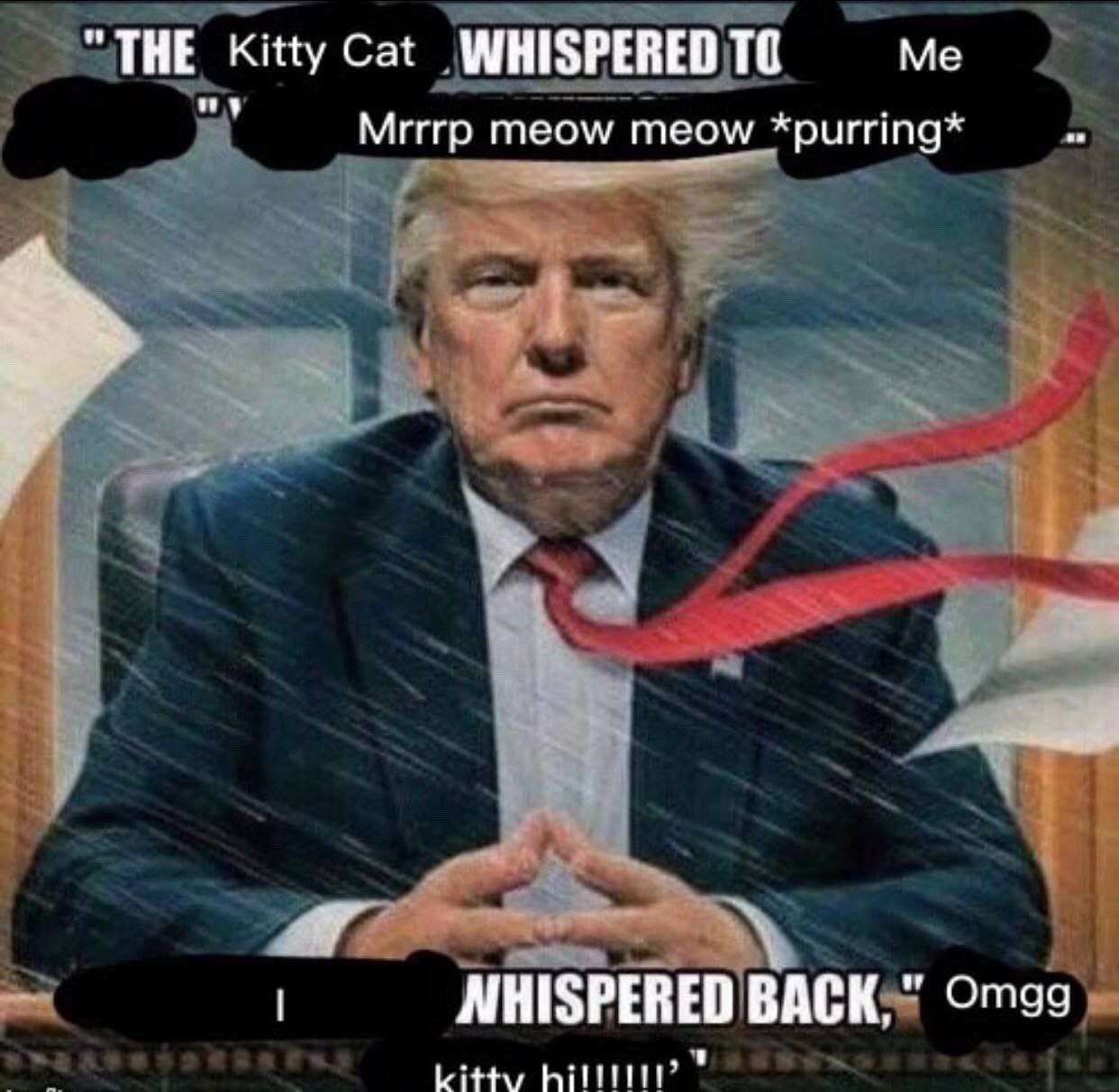 Котик что-то прошептал Трампу Мем с Дональдом Трампом, которому котик что-то нашептал.