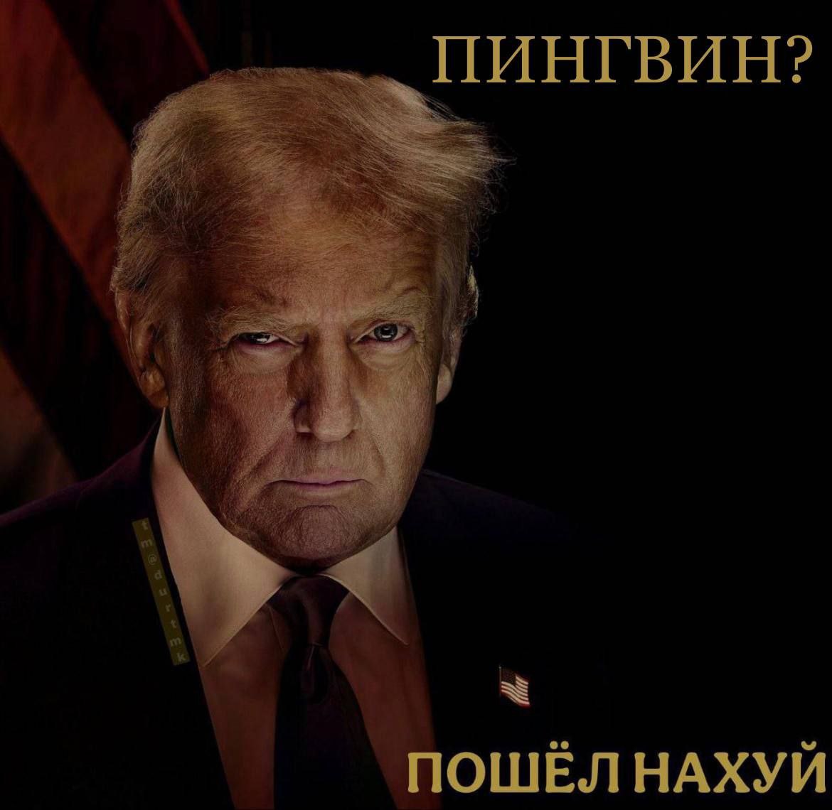 Трамп Пингвин Дональд Трамп с серьезным лицом и вопросом "Пингвин?" и фразой "Пошел нахуй" на черном фоне.